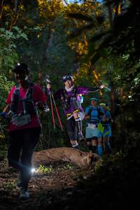 BIB: 
                            <button type="button" onclick="openModal(19231744)" class="btn btn-primary btn-sm float-right btn-popup" data-toggle="modal" data-target=".modal-high-quality">
                        <i class="fas fa-shopping-cart"></i> Add to Cart
                    </button>
                                            <button type="button" onclick="isThisMe(19231744, true)" class="btn btn-success btn-sm float-right btn-popup btn-isme hidden" data-toggle="tooltip" data-placement="bottom" title="นี่คือรูปของคุณใช่ไหม คลิกที่นี่เพื่อเอาเข้าอัลบั้ม">
                        <i class="fas fa-plus"></i> Add to album
                    </button>
                    <button type="button" onclick="isThisMe(19231744, false)" class="btn btn-warning btn-sm float-right btn-popup btn-isnotme hidden">
                        <i class="fas fa-ban"></i> Remove from album
                    </button>